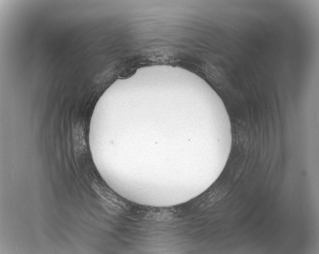 X0000060801106200512011725