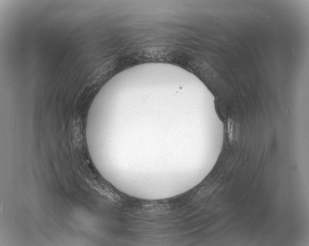 X0000060801107200512011725