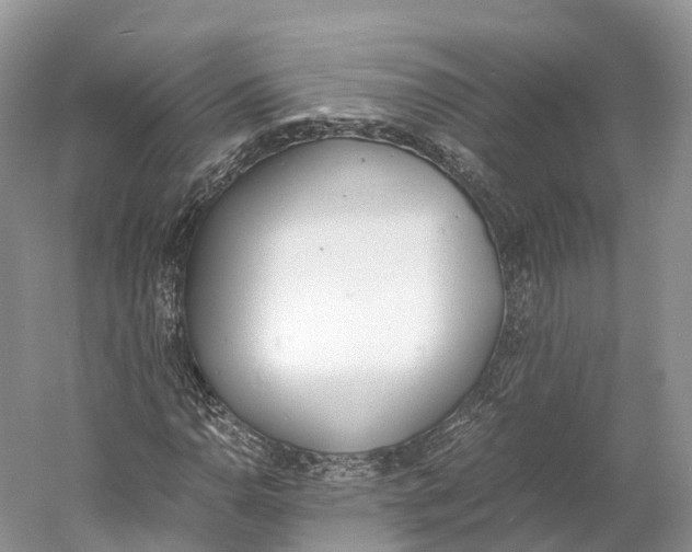 X0000060801110200512011725