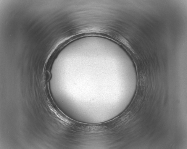 X0000060801116200512011725