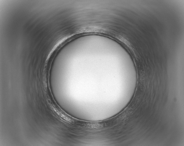 X0000060801120200512011725