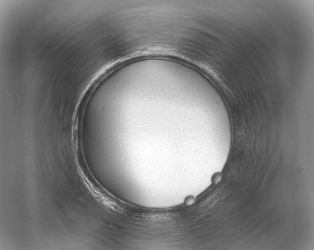 X0000060801126200512011725