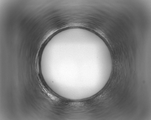 X0000060801127200512011725