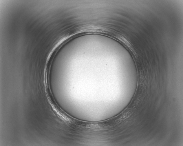 X0000060801128200512011726