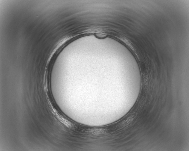 X0000060801131200512011726