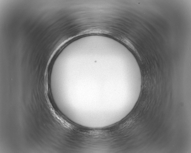 X0000060801132200512011726