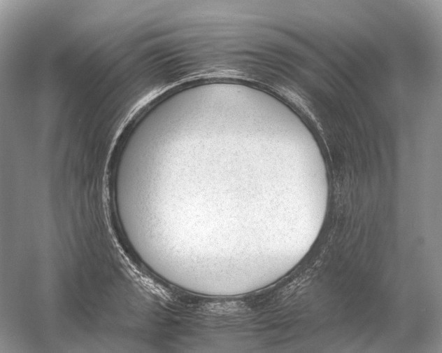 X0000060801133200512011726