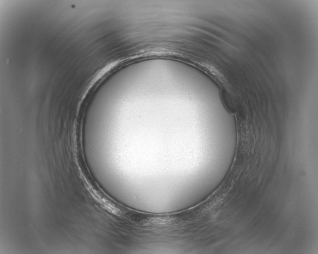 X0000060801134200512011726