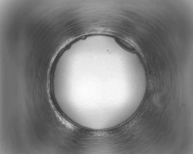 X0000060801136200512011726