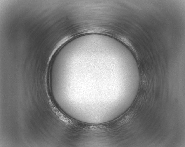 X0000060801138200512011726