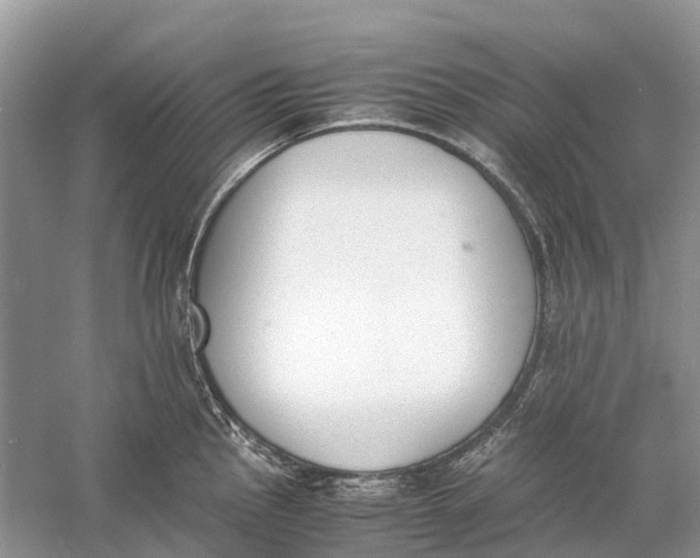 X0000060801145200512011726