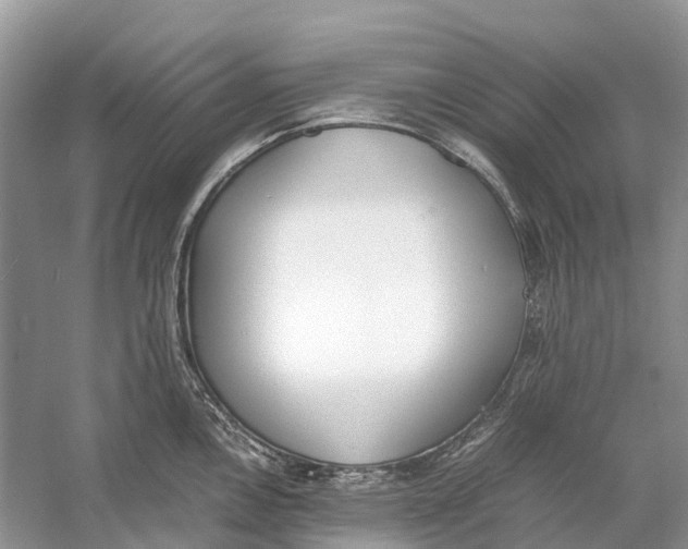 X0000060801146200512011726