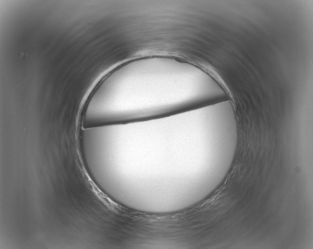 X0000060801148200512011726