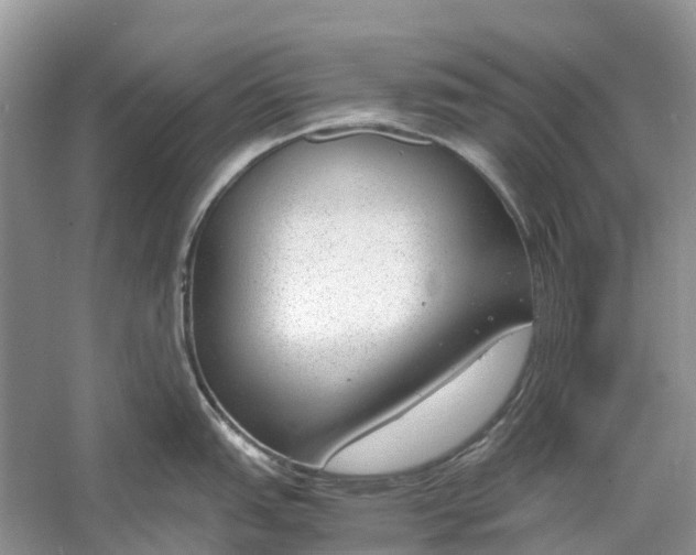 X0000060801151200512011726