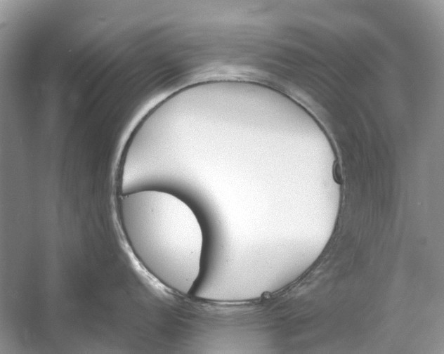 X0000060801152200512011726