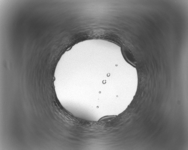 X0000060801153200512011725