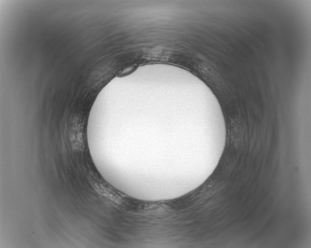 X0000060801154200512011725