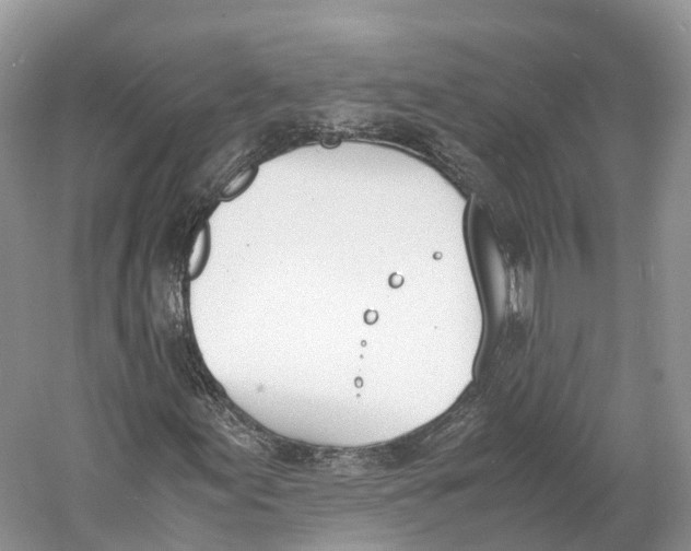 X0000060801155200512011725