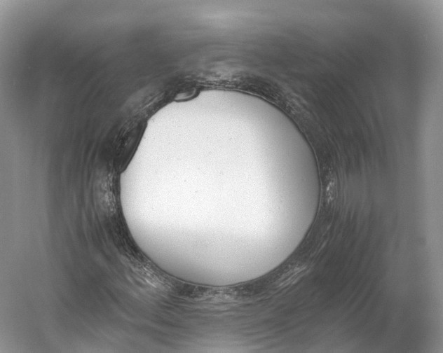 X0000060801156200512011725