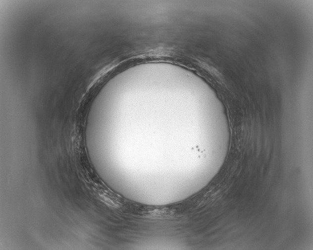 X0000060801160200512011725