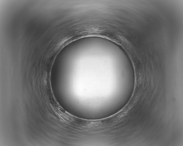 X0000060801161200512011725