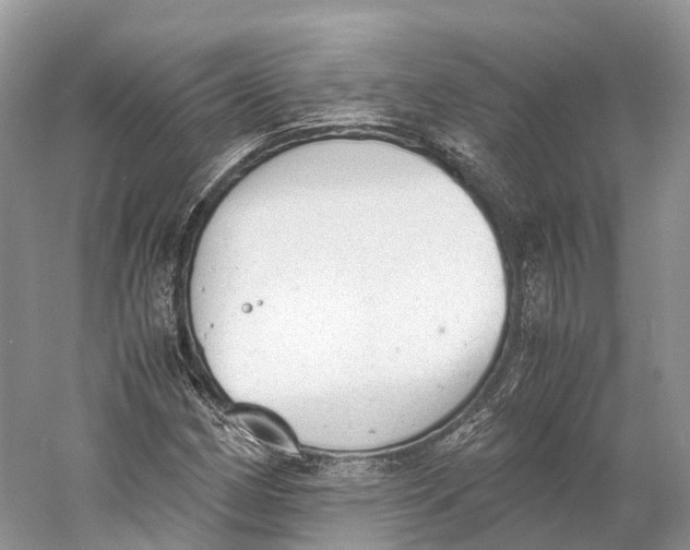 X0000060801162200512011725