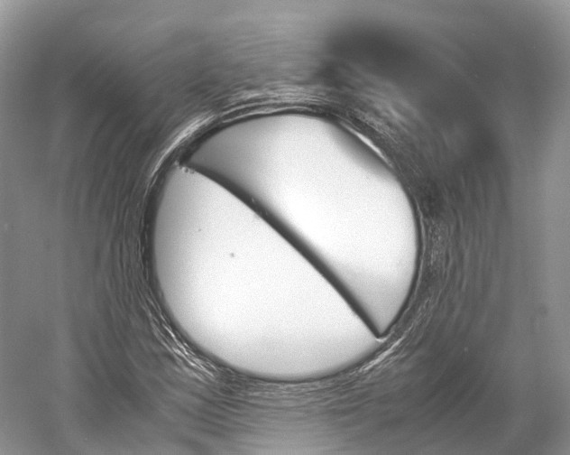 X0000060801163200512011725