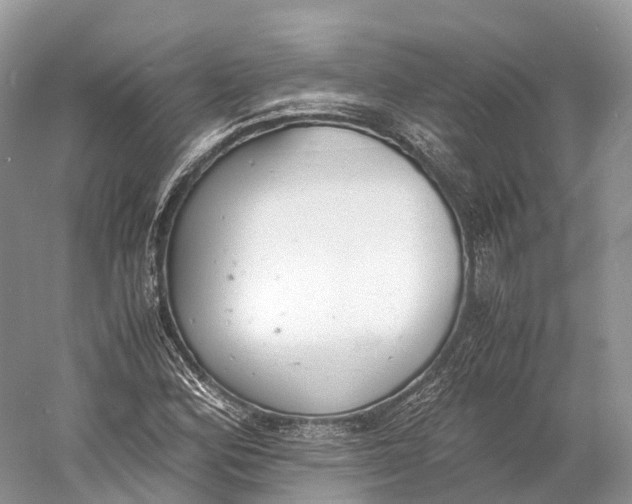 X0000060801164200512011725