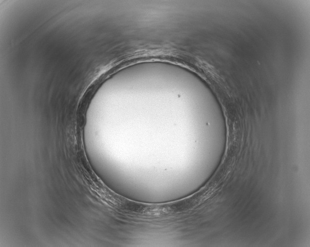 X0000060801165200512011725