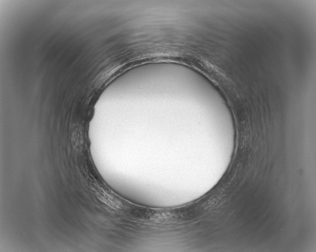 X0000060801169200512011725