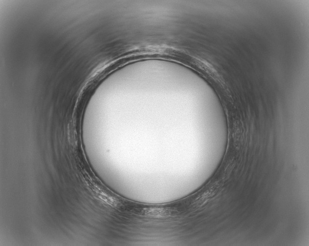 X0000060801172200512011725