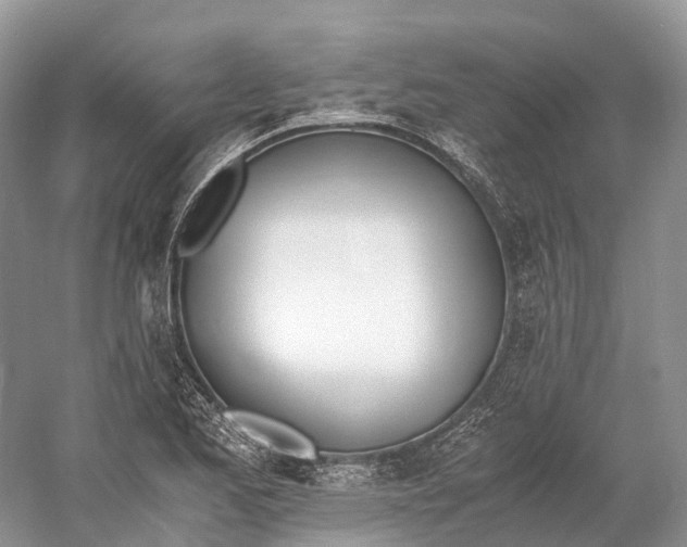 X0000060801173200512011725