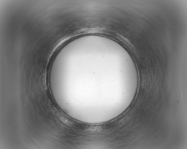 X0000060801174200512011725