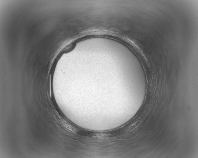 X0000060801175200512011725