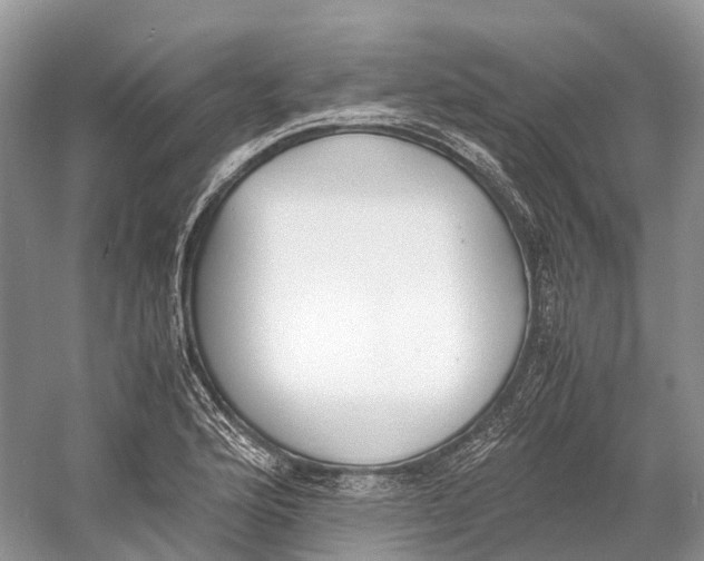 X0000060801176200512011725