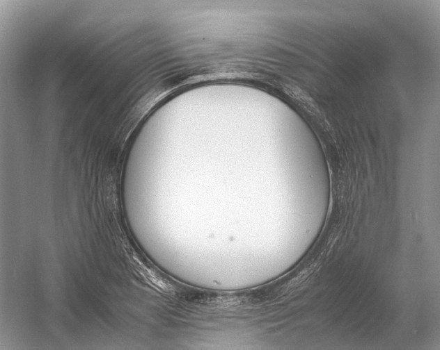 X0000060801177200512011725