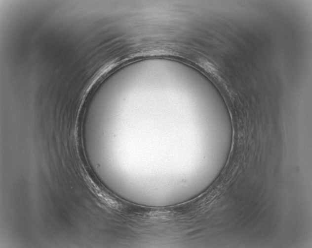 X0000060801181200512011725