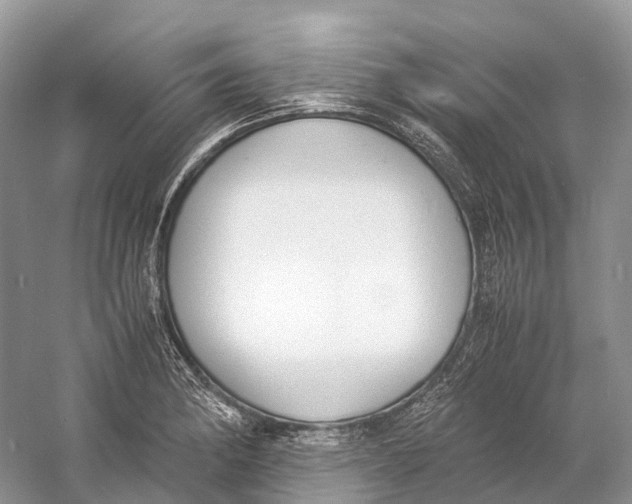 X0000060801182200512011725