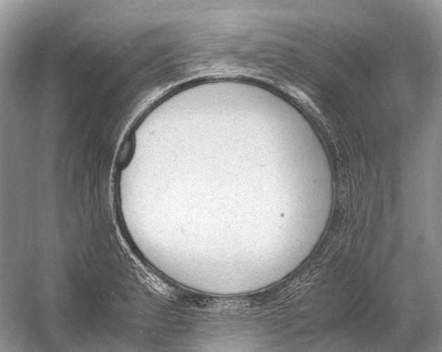 X0000060801183200512011725