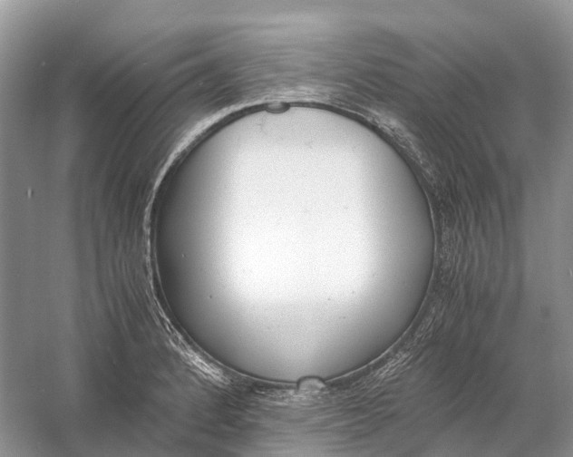 X0000060801184200512011725