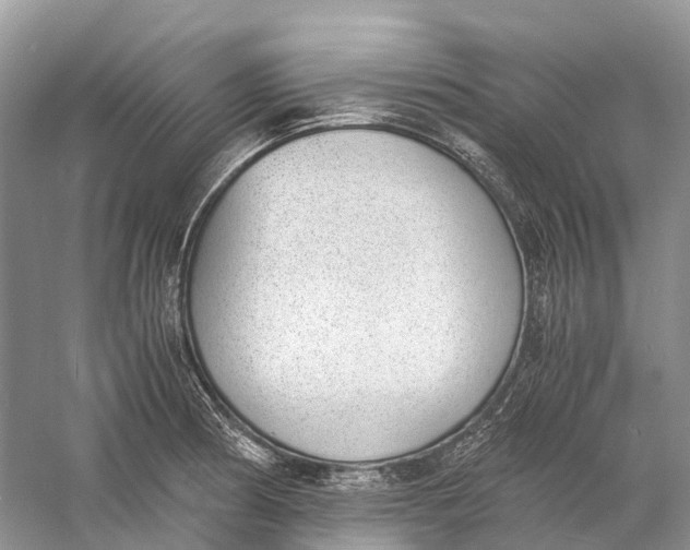 X0000060801186200512011725