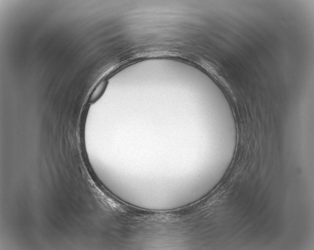 X0000060801189200512011724