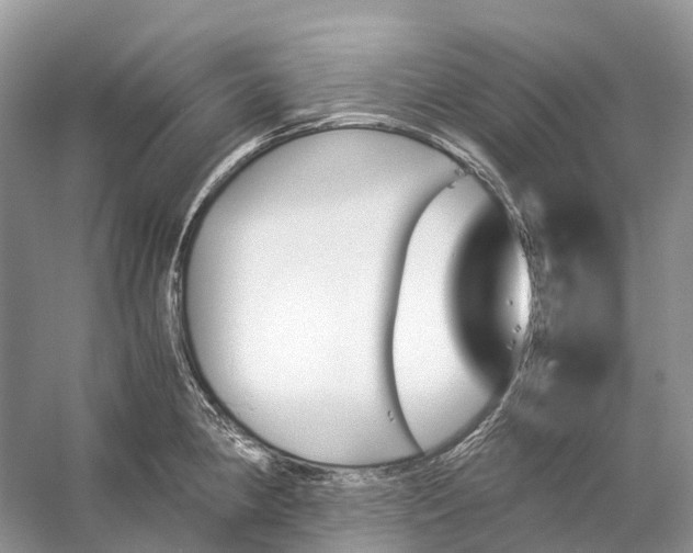 X0000060801190200512011724