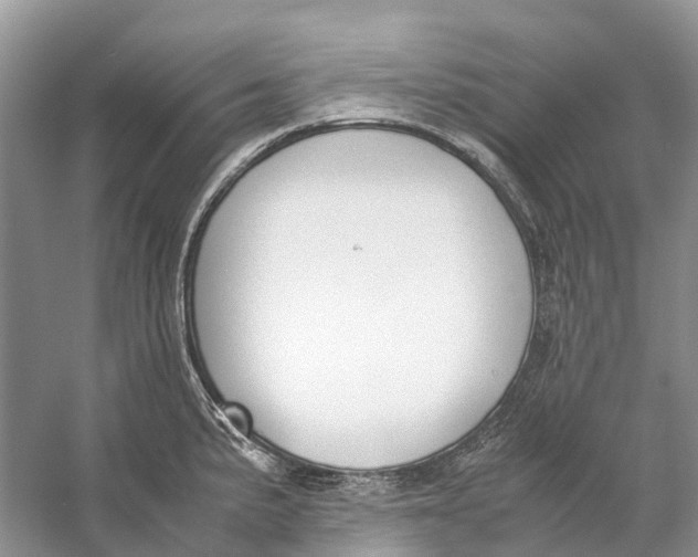 X0000060801191200512011724