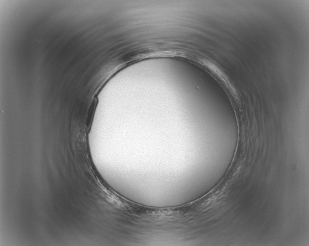 X0000060801193200512011724