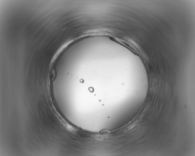 X0000060801196200512011724