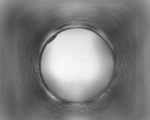 X0000060801197200512011724