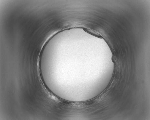 X0000060801198200512011724