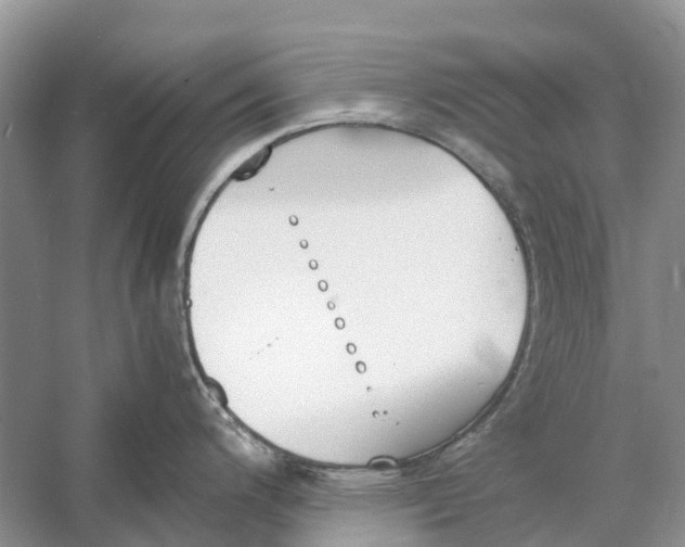 X0000060801200200512011724