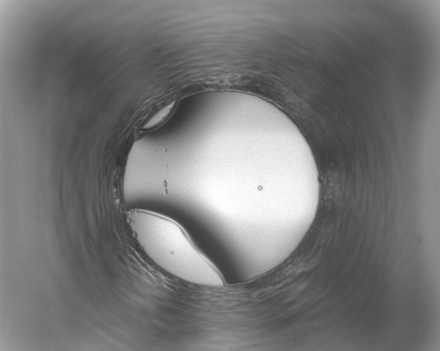 X0000060801202200512011723